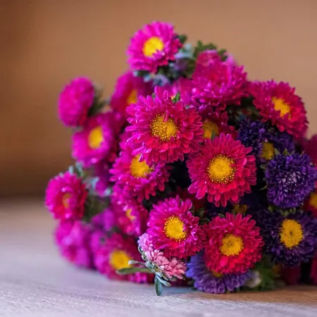 My Casa - Prefecture 15 - Old Town Duplex 2 Double Beds ניס