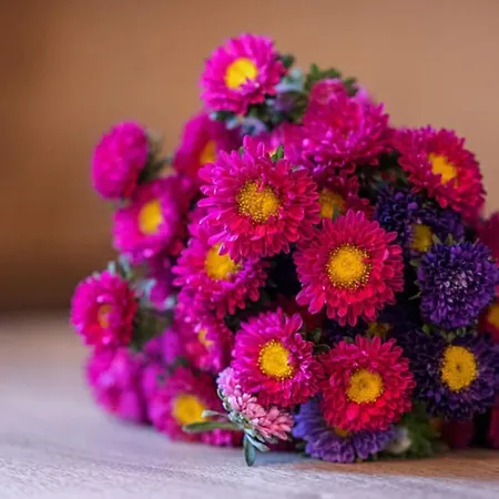 Prefecture 15 - Old Town Duplex 2 Doubles Beds